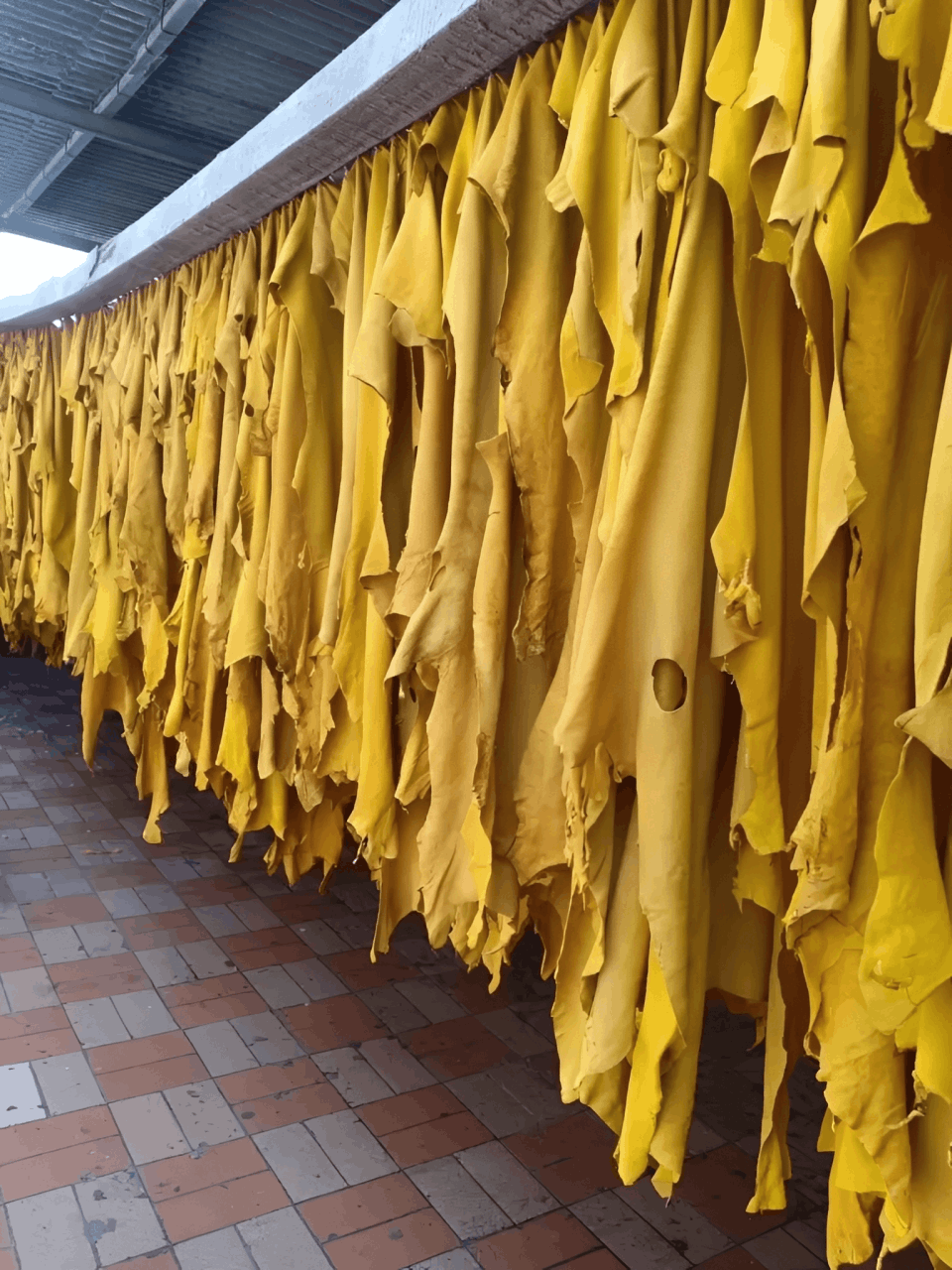 Tannery Process